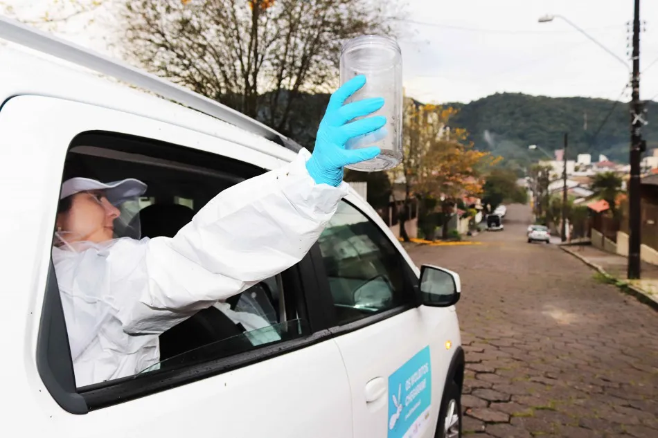 Blumenau chega a 12 casos de dengue e registra avanço do Método Wolbachia