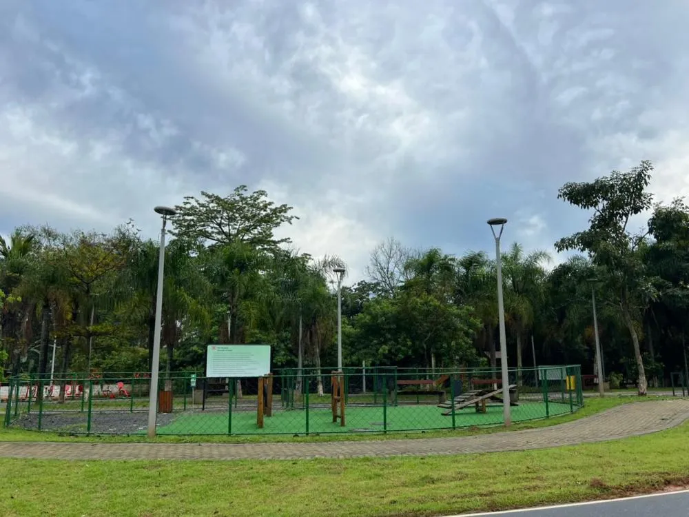 Terça-feira tem sol de manhã e risco de trovoadas à tarde em Blumenau