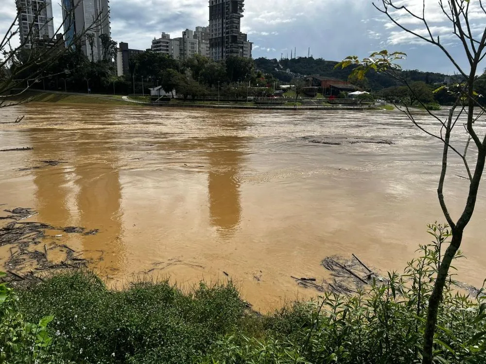 Nível do Rio Itajaí-Açu começa a baixar após atingir pico de 7,57 metros nesta terça-feira em Blumenau