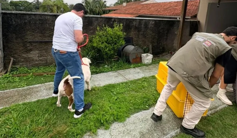 Polícia Civil apreende cães após ataque que matou animal comunitário em Blumenau