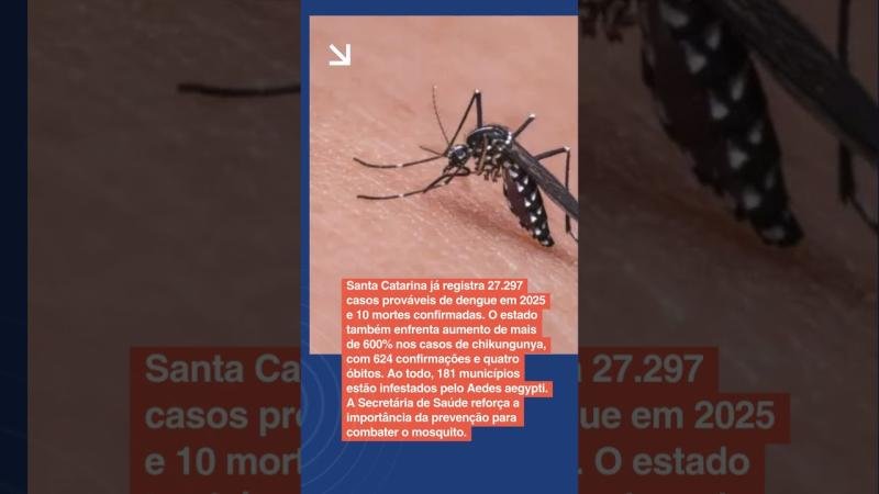 AJ MAIS | Obras do balizamento noturno no Aeroporto de Blumenau serão retomadas; SC registra 27 mil casos prováveis de dengue; manifestação em Gaspar cobra passarela após morte na BR-470; comércio de Blumenau terá horário estendido no sábado pelo Dia dos 