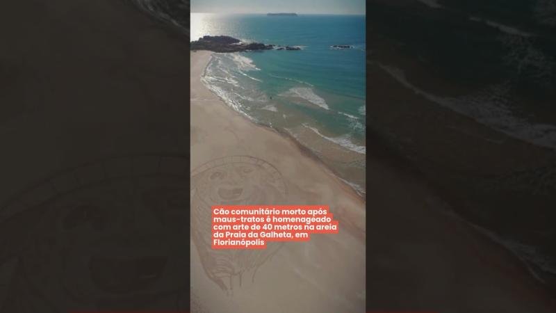 Cão comunitário morto após maus-tratos é homenageado com arte de 40 metros na areia da Praia da Galheta, em Florianópolis
