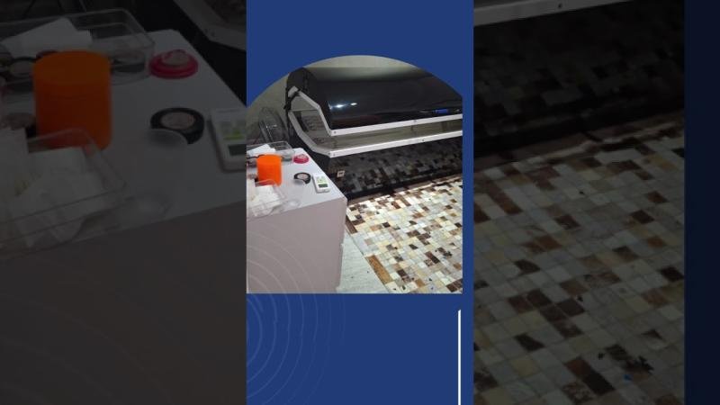 Mega-Sena acumula R$ 115 milhões, GAECO fecha clínicas clandestinas, moradores questionam creche em escola e protesto com bananeiras chama atenção em Blumenau