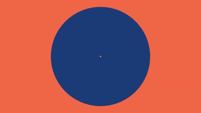 Polícia encontra droga no congelador e mais de 30 aves ilegais em casa de suspeito em Rodeio