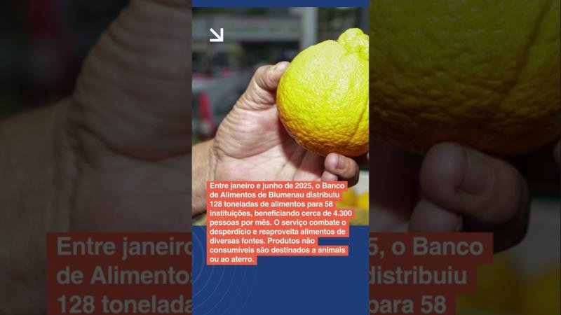 AJ MAIS | Blumenau tem novos casos de dengue, muda regras da Realeza da Oktober e cria Área Amarela