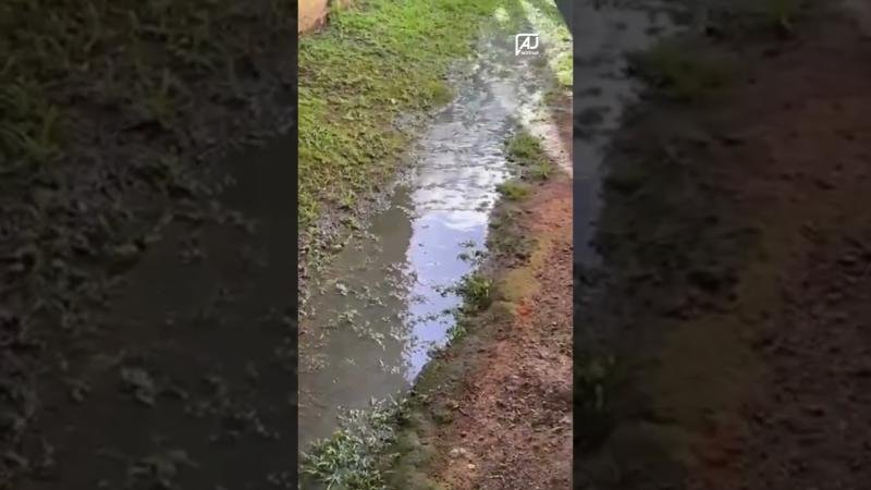 Vazamento de água causa transtornos, desperdício e preocupa moradores no bairro Tribess, em Blumenau